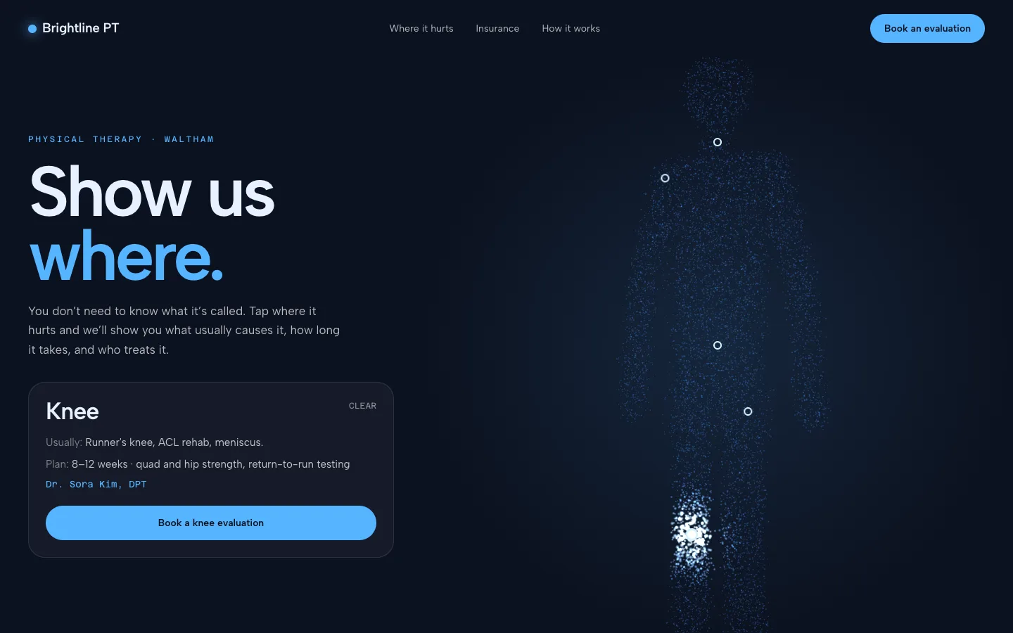 The particle body, from the Brightline Physical Therapy concept