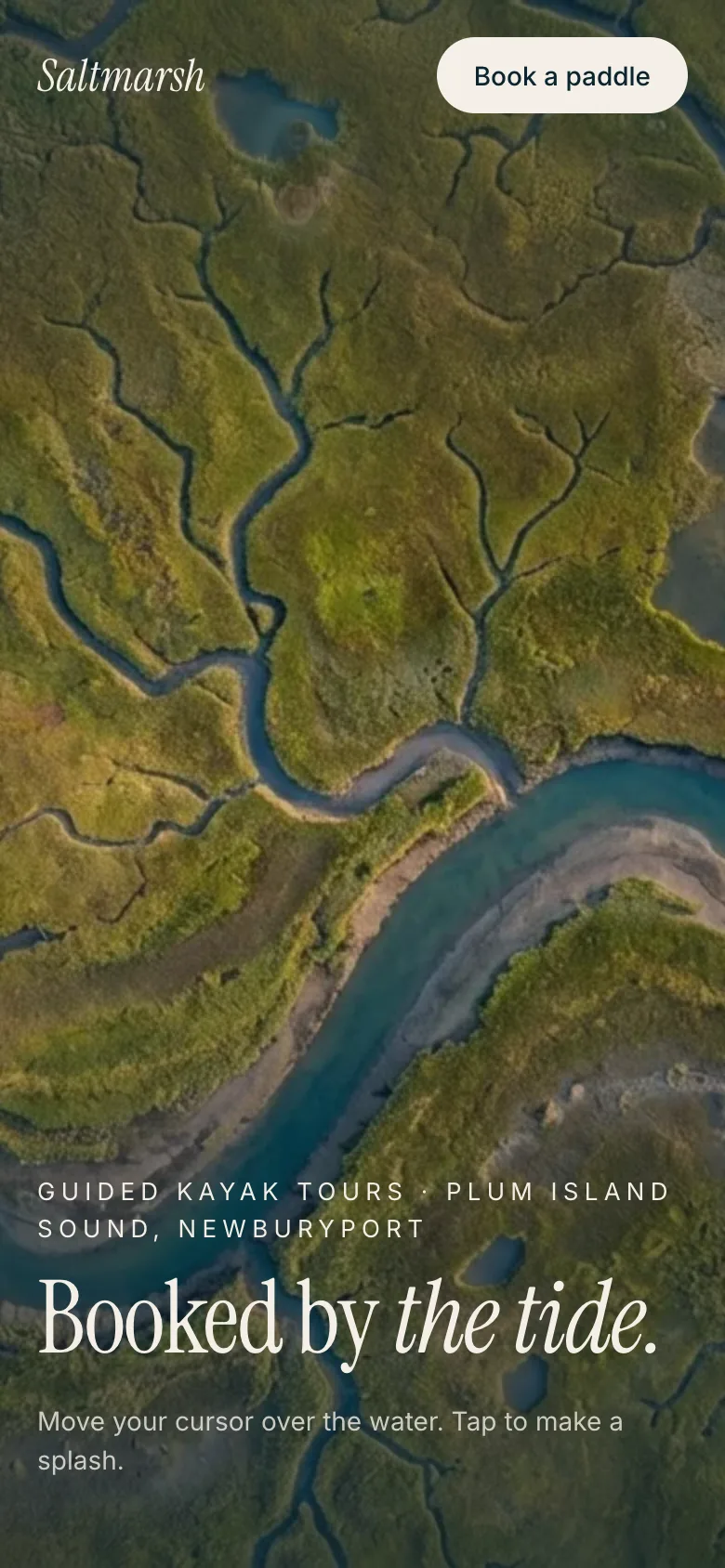 Saltmarsh Kayak Tours concept on a phone