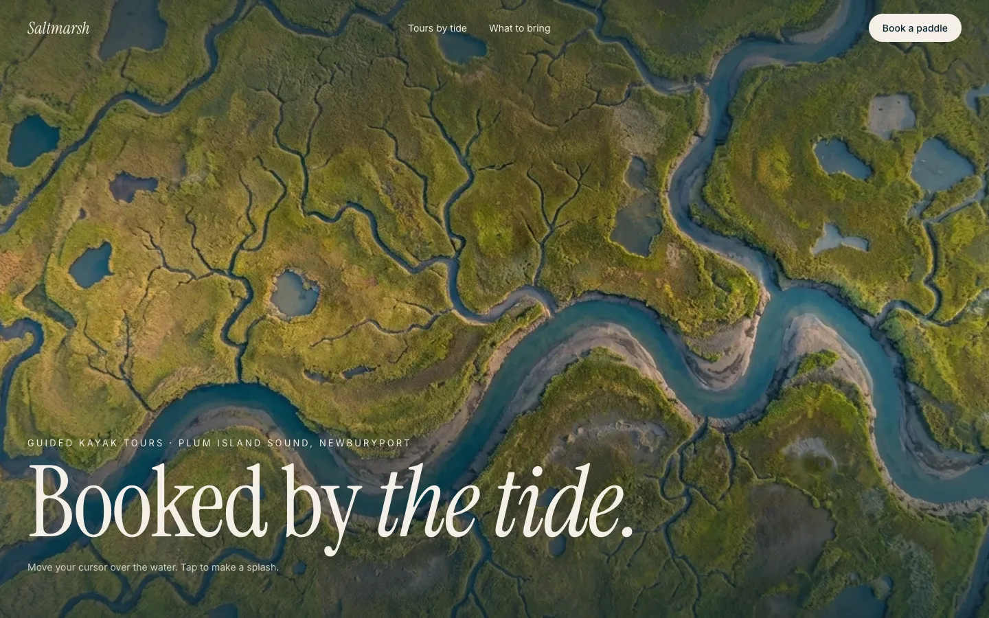 Live water, from the Saltmarsh Kayak Tours concept