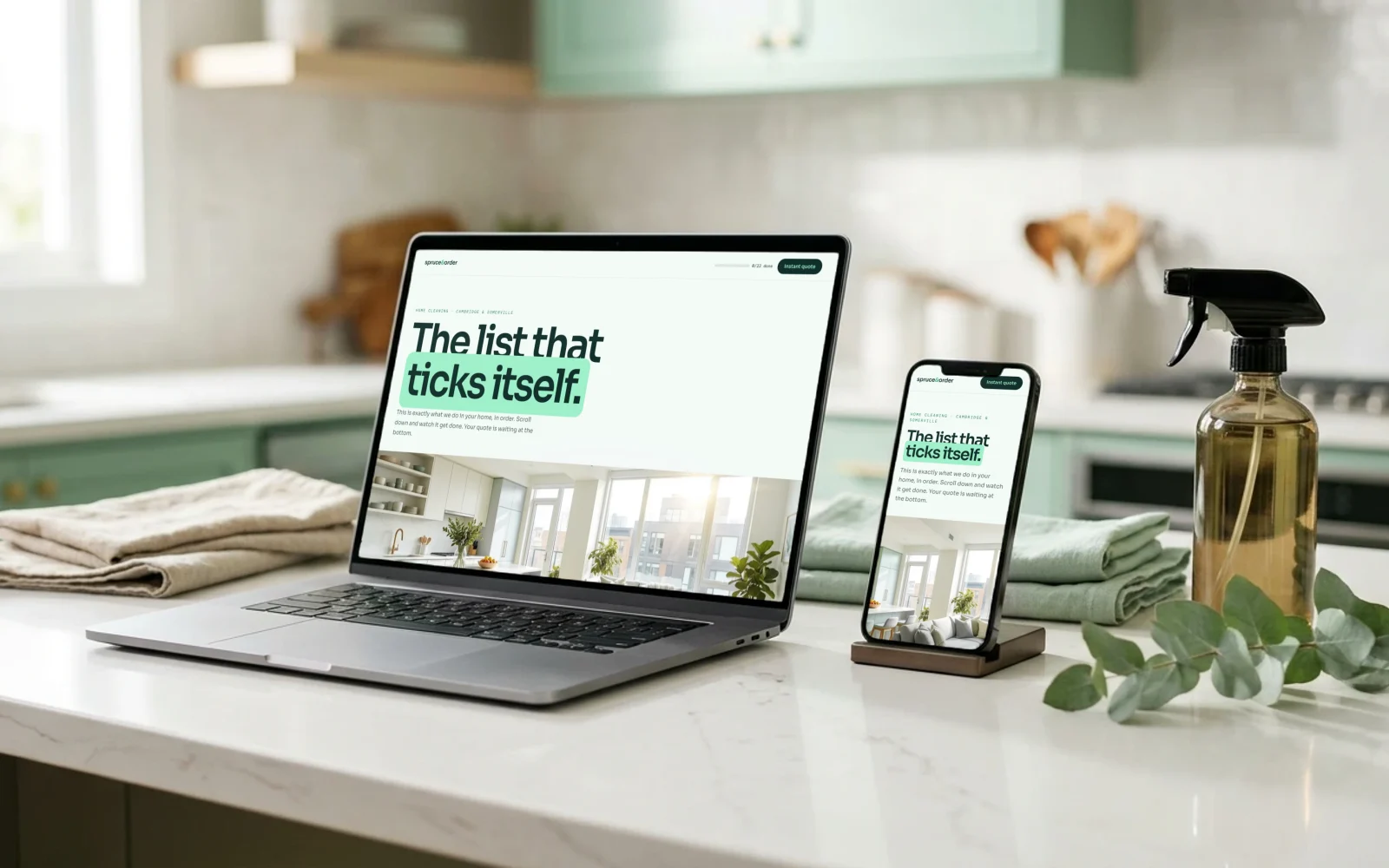 Spruce & Order Cleaning: concept site mockup