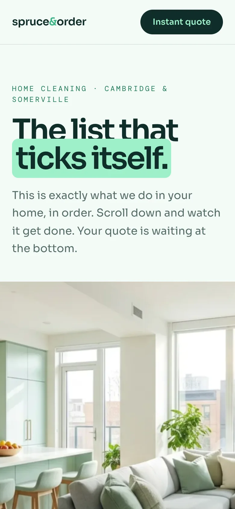Spruce & Order Cleaning concept on a phone